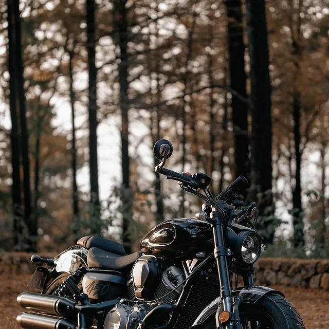 Motorrad Händler Ingo Peters