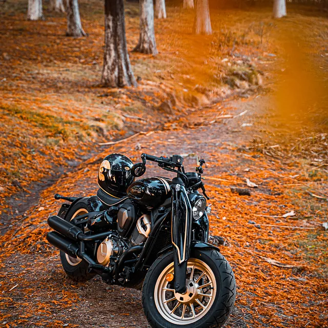 Motorrad Händler Ingo Peters